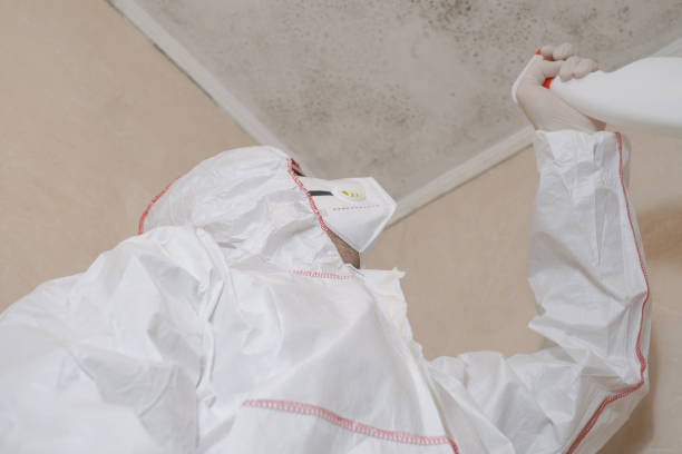Mold Removal and Inspection in North Vernon, IN