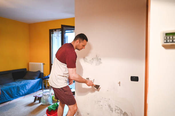 Best Toxic Mold Removal  in North Vernon, IN